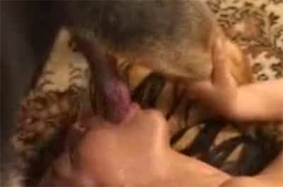 Videos porno amateur con animales